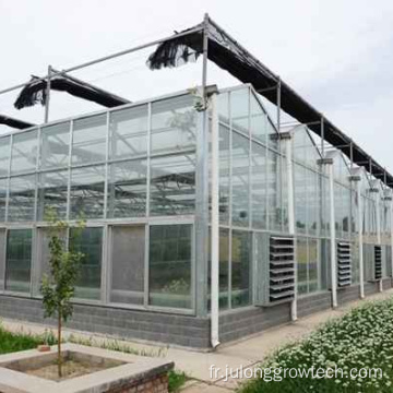 plantation de serre en verre agricole de tomate